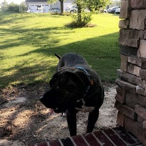 Meet your Posher, Nina